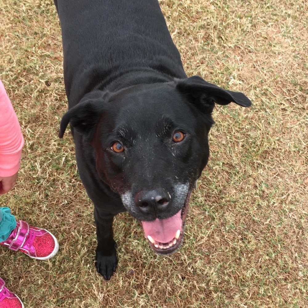 Meet your Posher, Wade